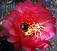 DSC_1063 DSC_1063