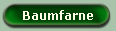 Baumfarne