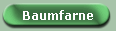 Baumfarne
