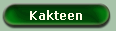 Kakteen 