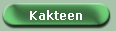 Kakteen 