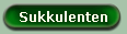 Sukkulenten