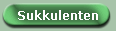 Sukkulenten
