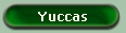 Yuccas