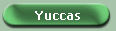 Yuccas